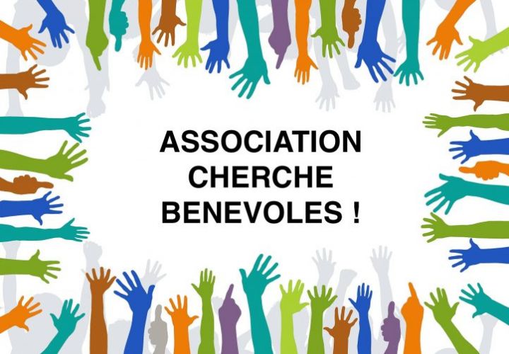 Recherche bénévoles